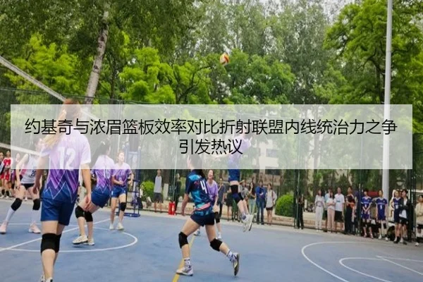 约基奇与浓眉篮板效率对比折射联盟内线统治力之争引发热议